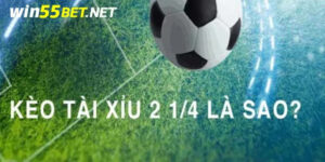 tài xỉu 2-1-4